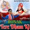 About Ronak Tere Dham Ki Song